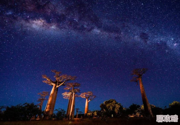 2025年热门指南：劲舞团手游iOS与安卓同服共舞方法全解析