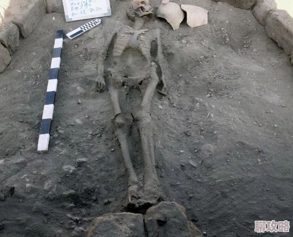 2025年CF手游生化模式新趋势：失落神庙高效打法攻略与热门装备推荐