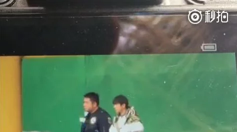 2025年热门策略解析：四大萌捕阵型搭配推荐与最新游戏机制融合