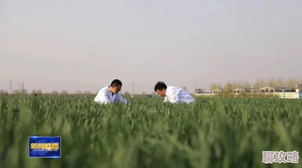 2025永恒手游商城系统功能全新分类及前沿玩法深度介绍